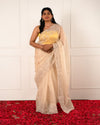 Nuraani – Golden Tissue Saree with Floral Thread Embroidery & Sequin Accents