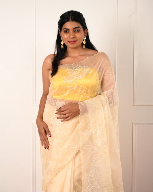 Goldust – Beige Pure Organza Saree with Floral Appliqué Embroidery