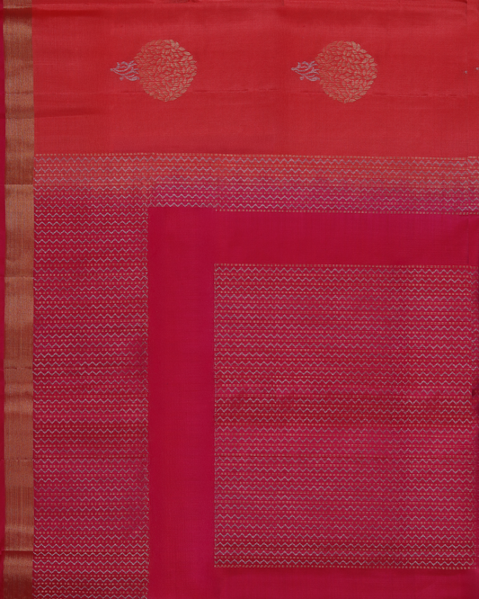 Coral Red & Rani Pink Pure Silk Saree with Zari Buttas